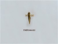 藏品(雙帶長苔蛾)的圖片